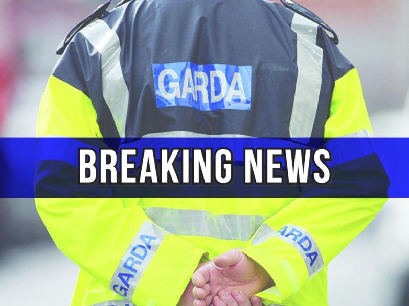 Fourteen people arrested in Offaly after series of searches by gardai in the county