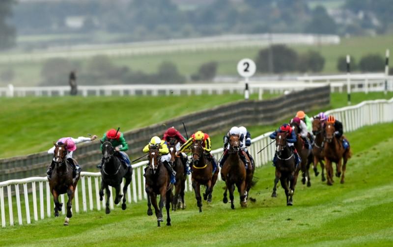 RACING: Dates for 2023 major festivals revealed