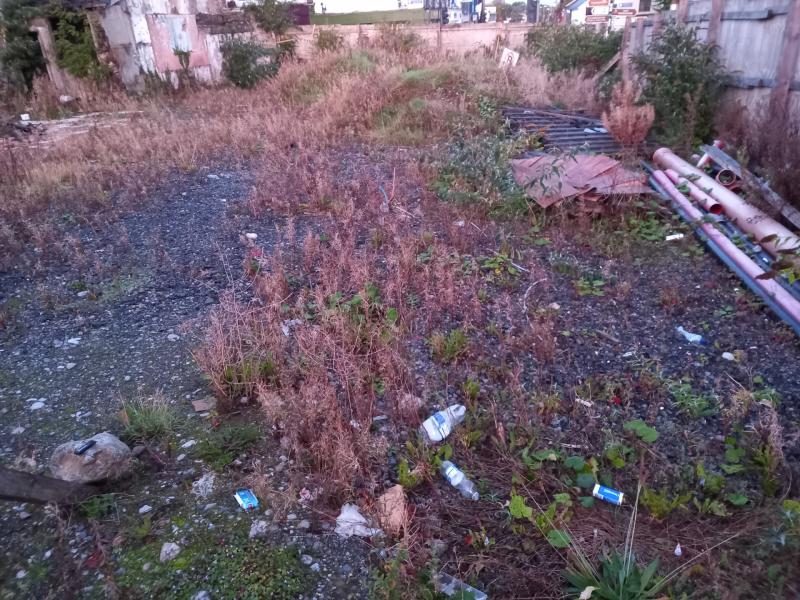 Kildare: Condition of unopened shopping centre site is criticised