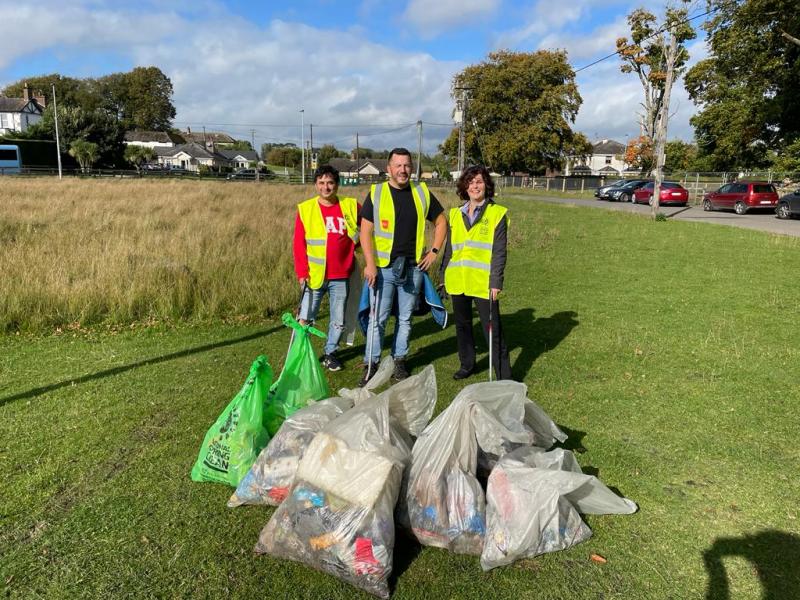 Multinational company carries out clean-up in Kildare