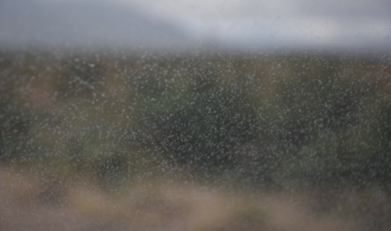 KILDARE WEATHER: Long dry spells with patchy drizzle
