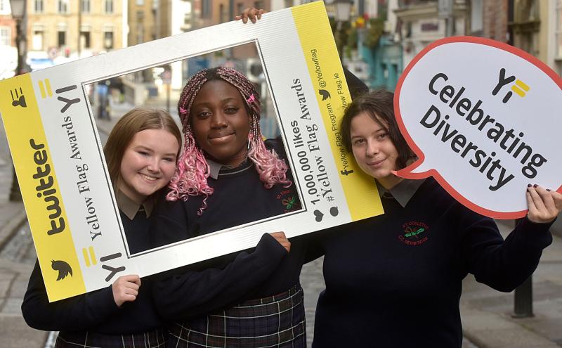 ‘This can make someone's everyday school life that little bit easier’ — School in Newbridge, County Kildare, awarded for challenging racism and promoting inclusion