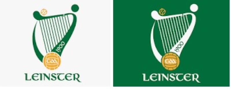 Kildare GAA: Sarsfields appeal