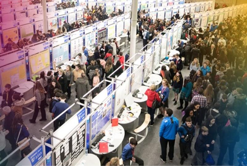 15 projects from Kildare schools at Young Scientist Exhibition this week 