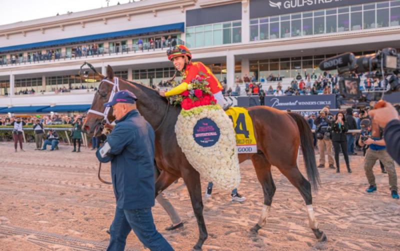 Kildare company Equine MediRecord  hired to clear horses for the Pegasus World Cup 2023