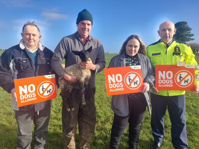 KILDARE: Kildare farmer had to climb tree to escape attacking Rottweiler as dog attacks increase