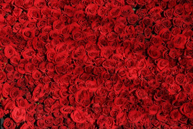 Kildare people urged to support Cystic Fibrosis Ireland ahead of ‘65 Roses Day’