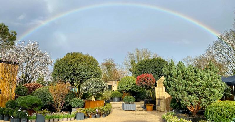Ireland&rsquo;s first new plant production nursery in 20 years opens in Celbridge, Co Kildare