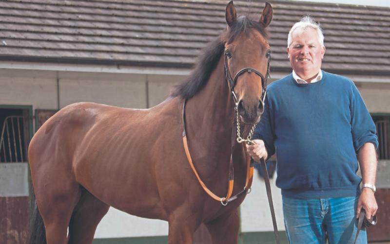 Curragh trainer Brendan Duke on Punchestown, Jim Bolger and his greatest win