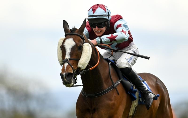 The story of Ireland's biggest ever winner - Sawbuck's 300/1 win at Punchestown