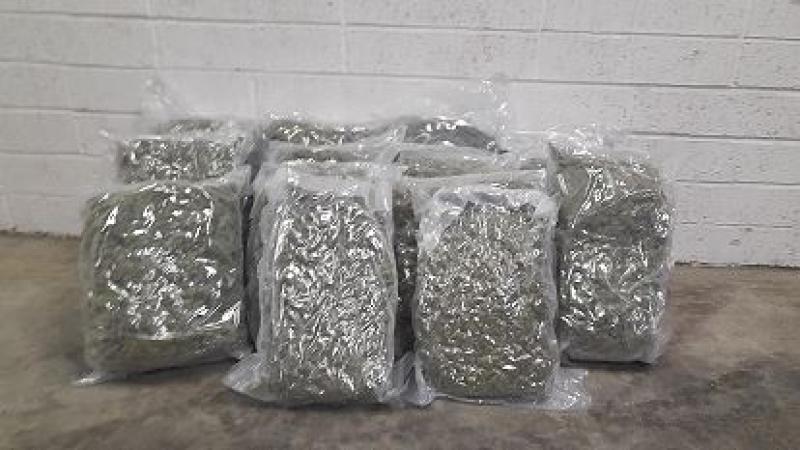 BREAKING: Revenue seize herbal cannabis worth over €400,000 in Kildare