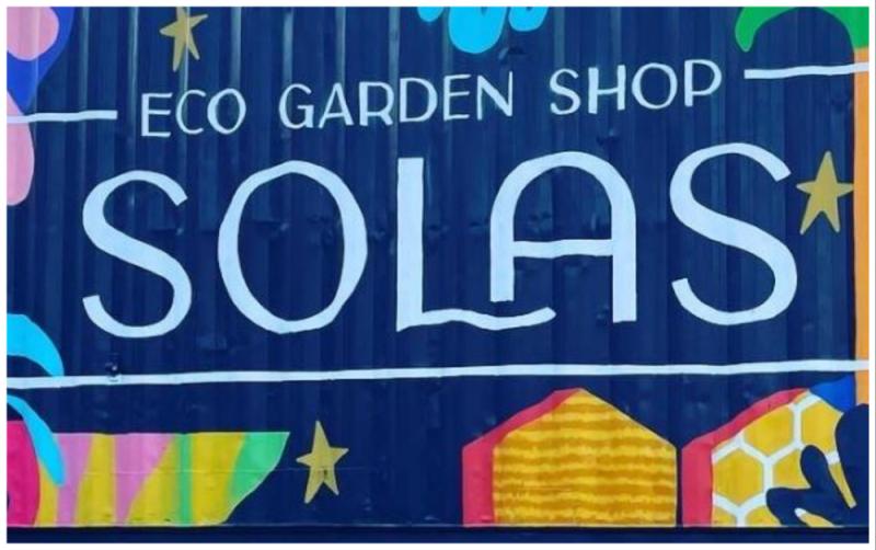 Fun-filled summer at SOLAS: Plant swap and milkshakes