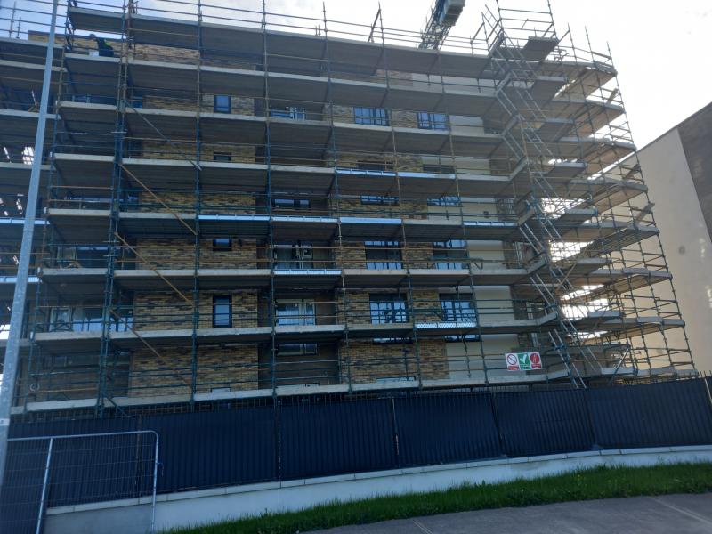 KILDARE: Social housing tenants should be allowed to have pets