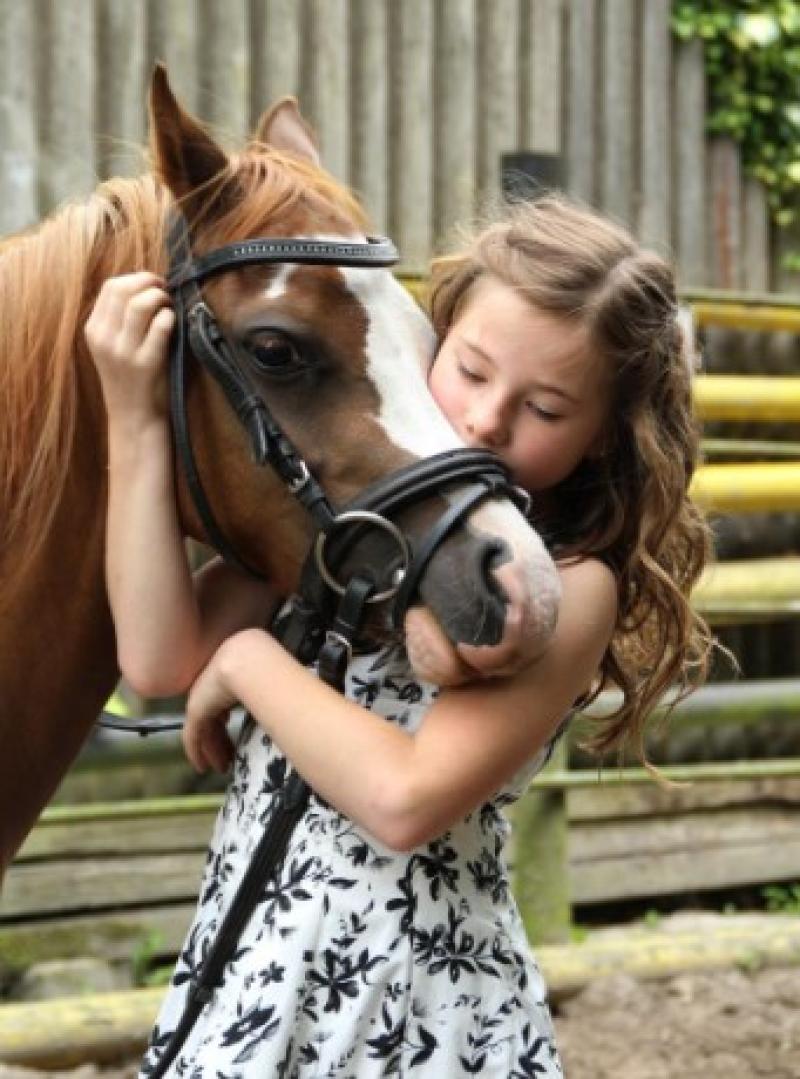 Animal welfare group to hold fashion show in well-known Kildare hotel