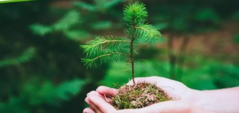 Kildare County Council launches Climate Innovation Fund for 2023