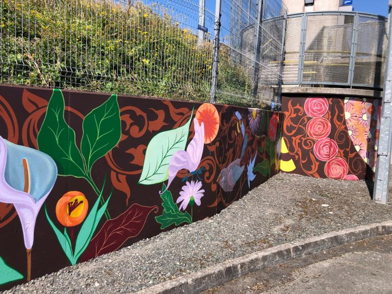 PHOTOS: School paints large mural at train station in Newbridge, County Kildare