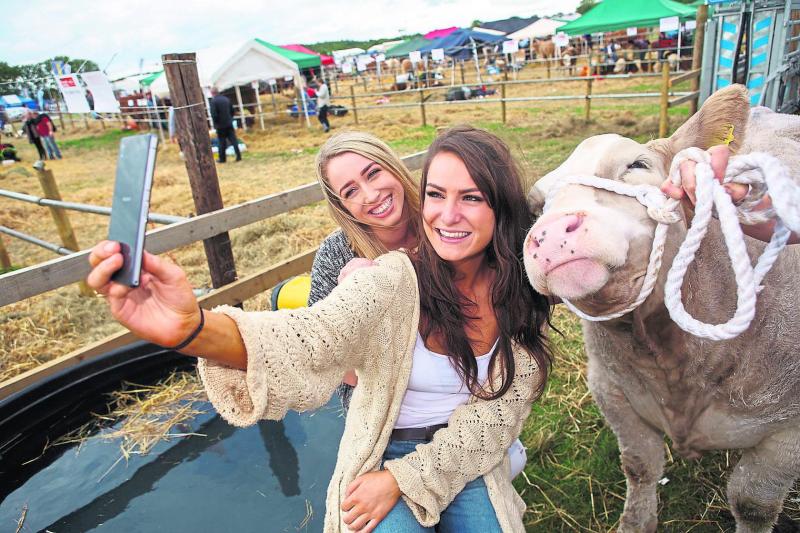 Big focus on forestry and energy at Tullamore Show 