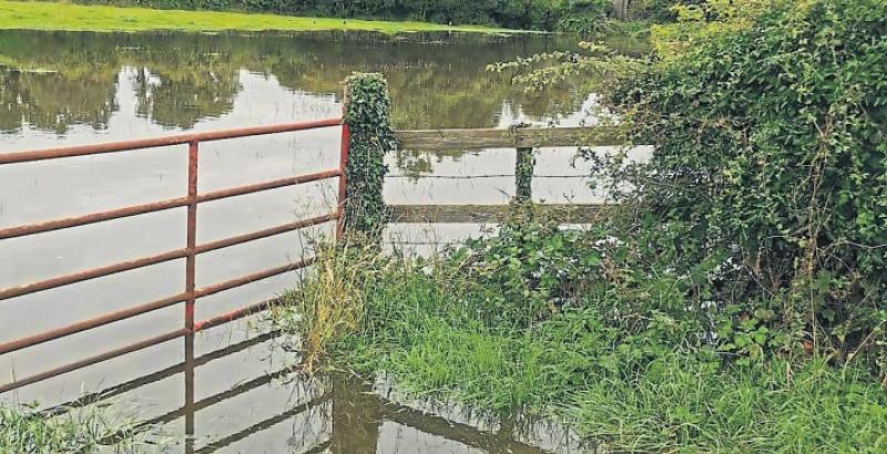 DART+ West may lead to more flooding, concerned Kildare resident claims