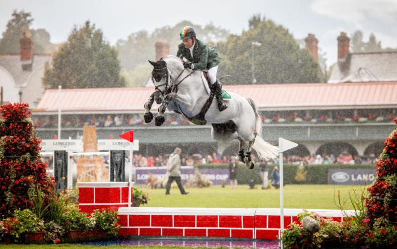 Kildare-based business Equine MediRecord partnering with the RDS and Young Event Horse Series