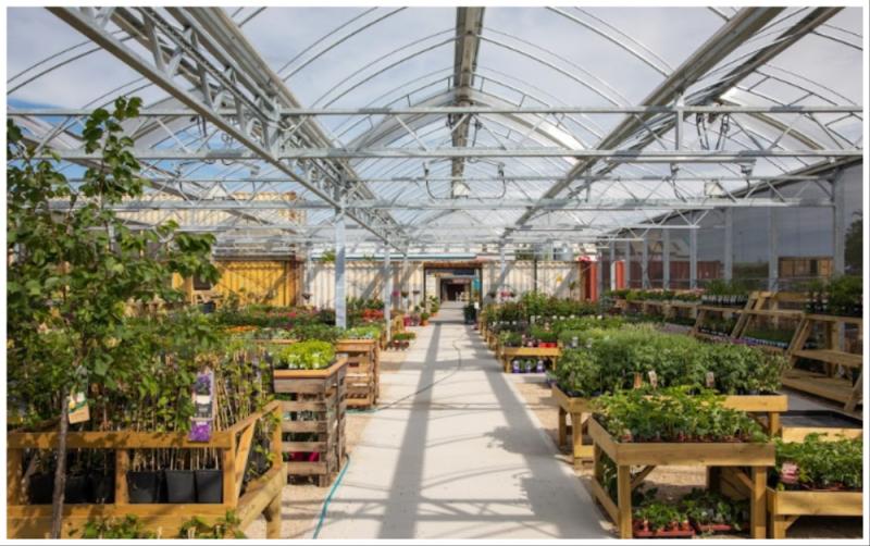 SOLAS: Free Plant and Seed Swap Event & Prosecco Day