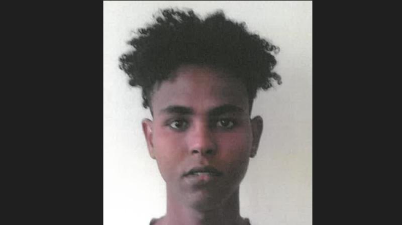 Gardaí release renewed information appeal in relation to whereabouts of Carlow teenager