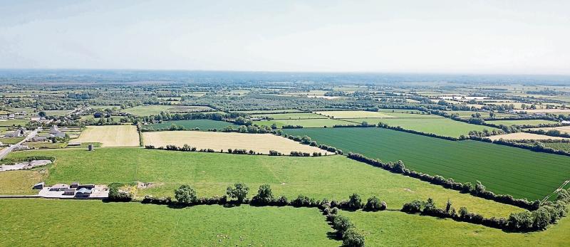 KILDARE PROPERTY WATCH: 48 acres of top quality limestone land for sale
