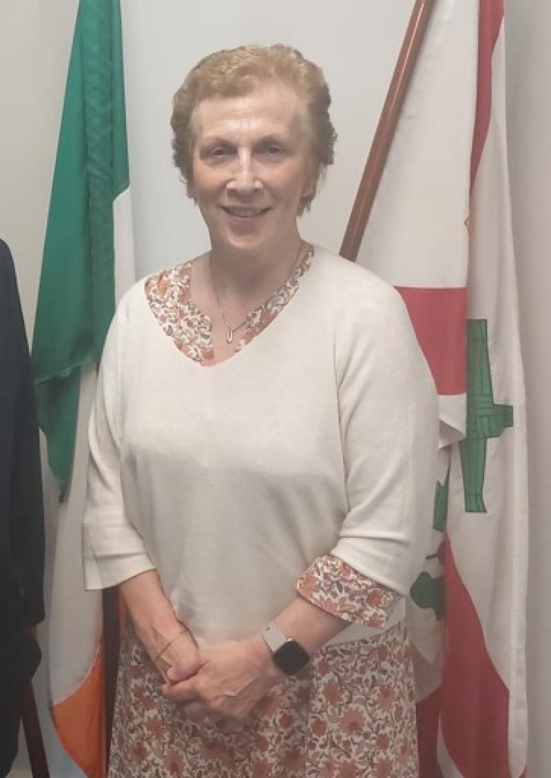 More visible progress is needed for Public Realms projects, Kildare councillor says