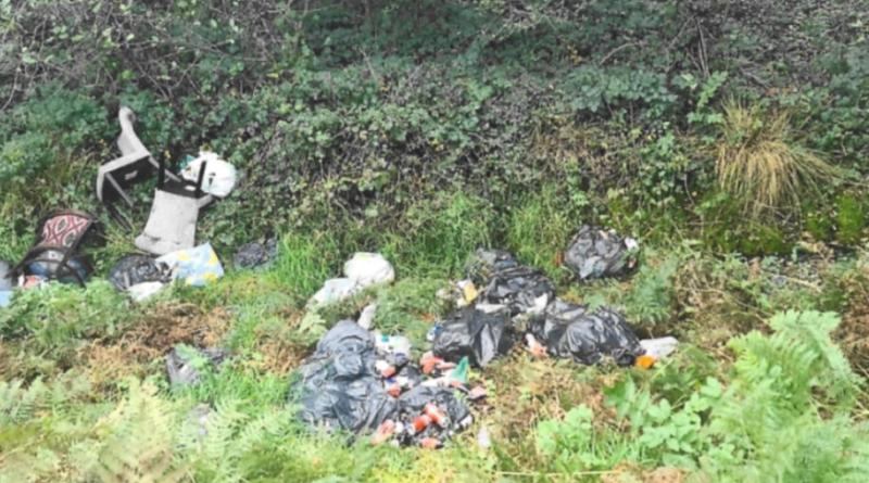 NEWS BRIEF: Kildare County Council cleans up 3.5 tonnes of litter in Kildoon