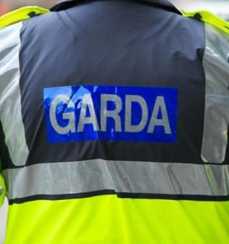 Vehicle stolen from property in Monasterevin, County Kildare