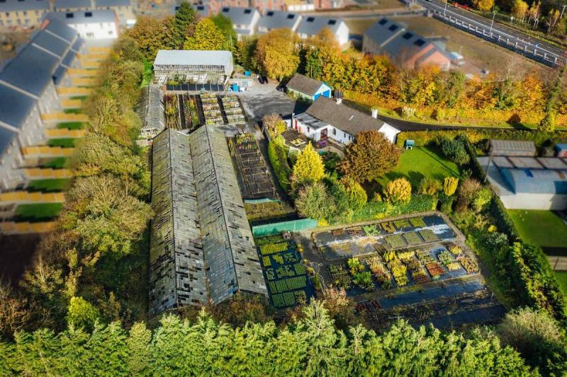 Kildare town garden centre goes on the market