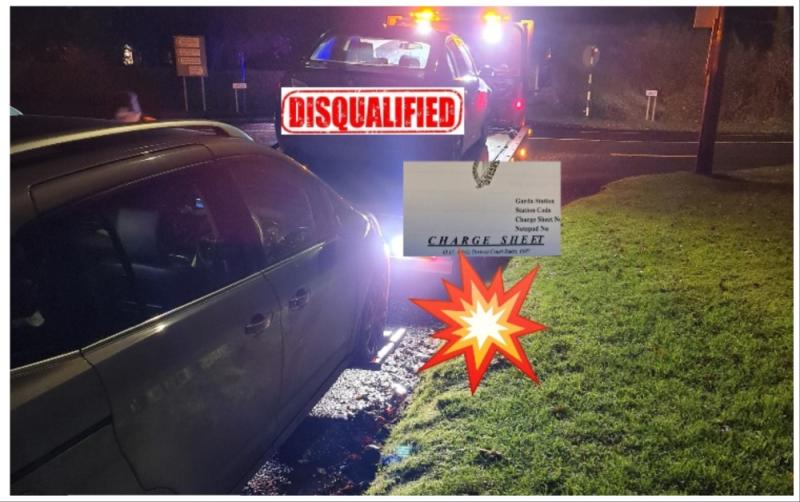 Gardaí crack down on unaccompanied learner drivers at Kildare checkpoint