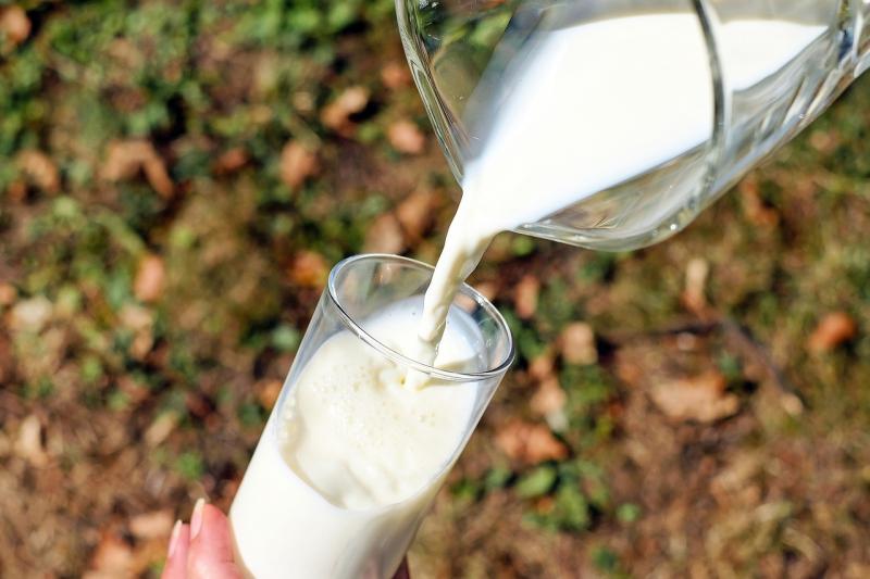 ALERT: Non-vegan ingredient undeclared on packaging of popular plant-based milk