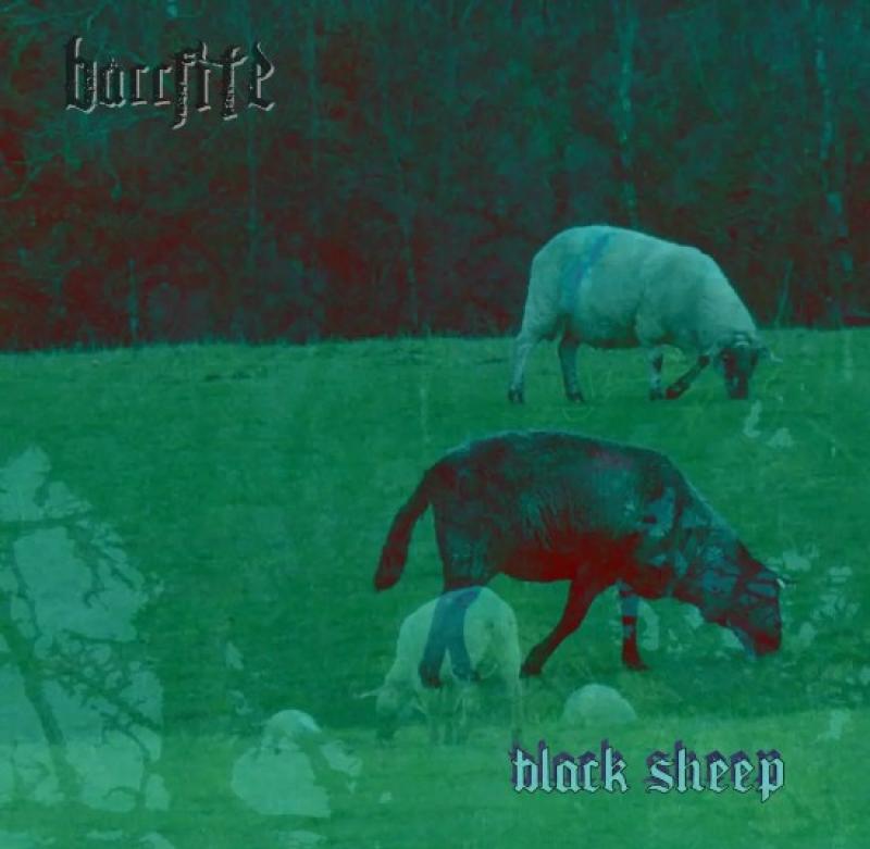 Band with links to Newbridge, County Kildare and featured at Electric Picnic releases first record