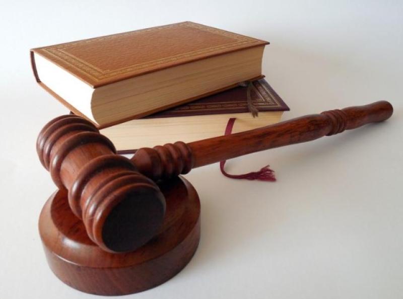 Man living on Kildare-Dublin border who sexually assaulted concert-goer at Marlay Park given suspended sentence