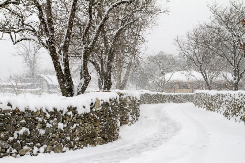 Met Éireann extends cold weather warnings again amid snow threat for four counties