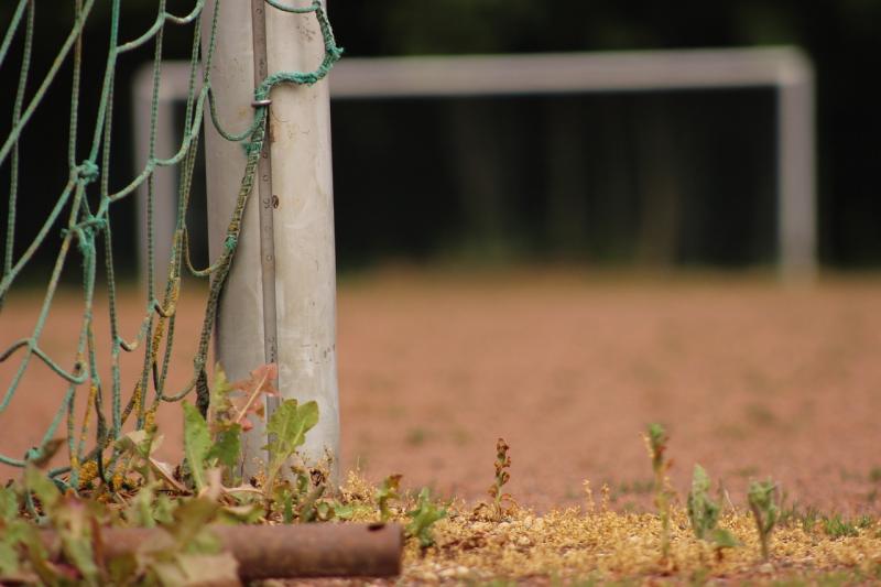 NEWS BRIEF: Repairs to goalposts sought by Kildare councillor