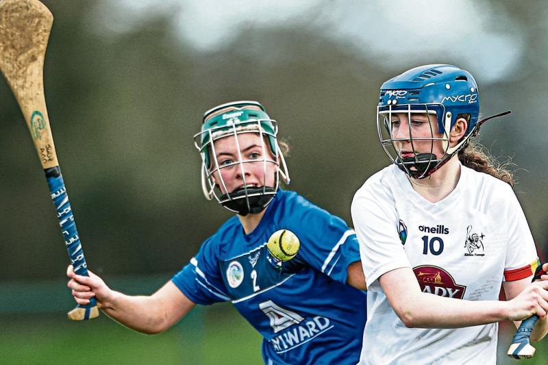 Kildare claim Leinster 'B' Camogie Championship with extra-time win