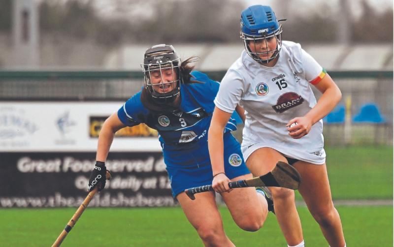 Kildare camogie go down to Laois but plenty of positives to be taken