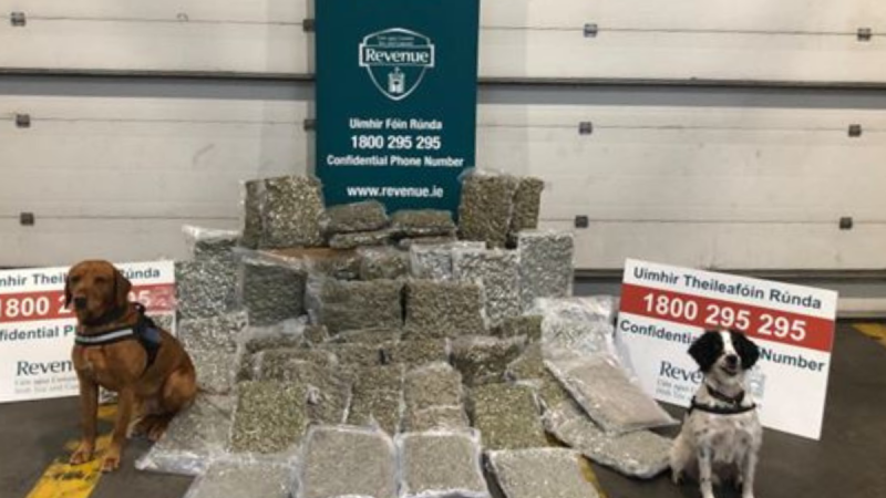 Parcels of cannabis bound for addresses in Kildare seized by Revenue