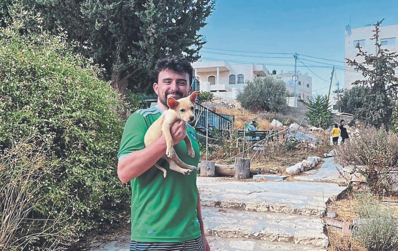 From Palestine to Pallasgreen: Abandoned pup born in Bethlehem rescued by volunteer