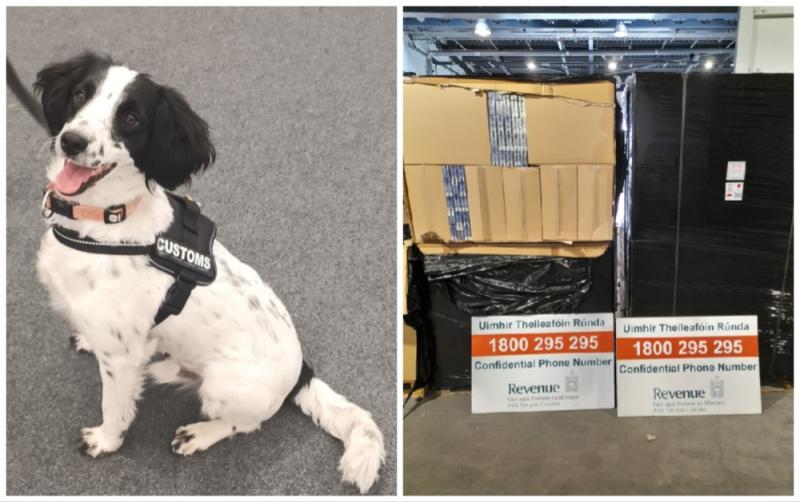 Revenue seize over €3.6m of illicit cigarettes with help from detector dog Milo