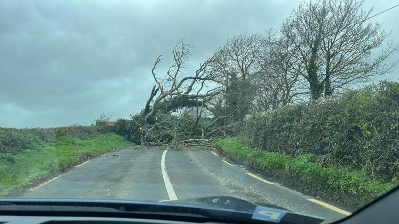LATEST: Storm Kathleen knocks out power to hundreds of customers in Kildare 
