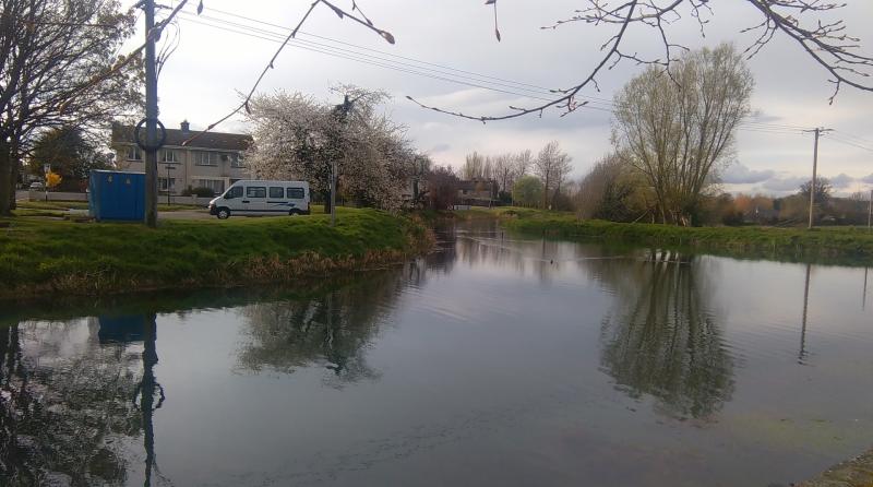 BREAKING: Raw sewage pollution incident threatens local waterways