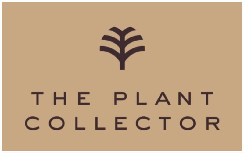 Spring into summer this May Bank Holiday at The Plant Collector 