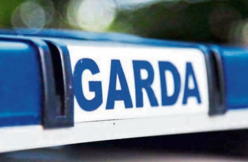 Kildare road closures announced to facilitate An Garda Síochána Mini Stages Rally