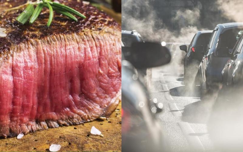 Half of Irish people refuse to change diet or car usage to stop climate change