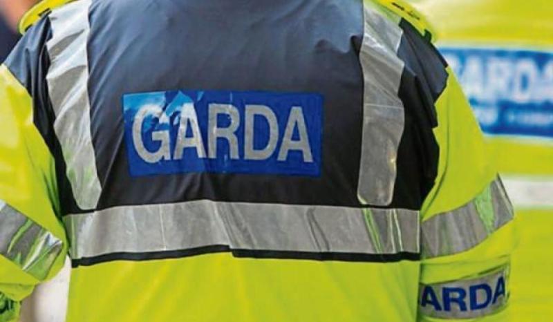 Gardaí appeal for witnesses after man dies in Offaly crash
