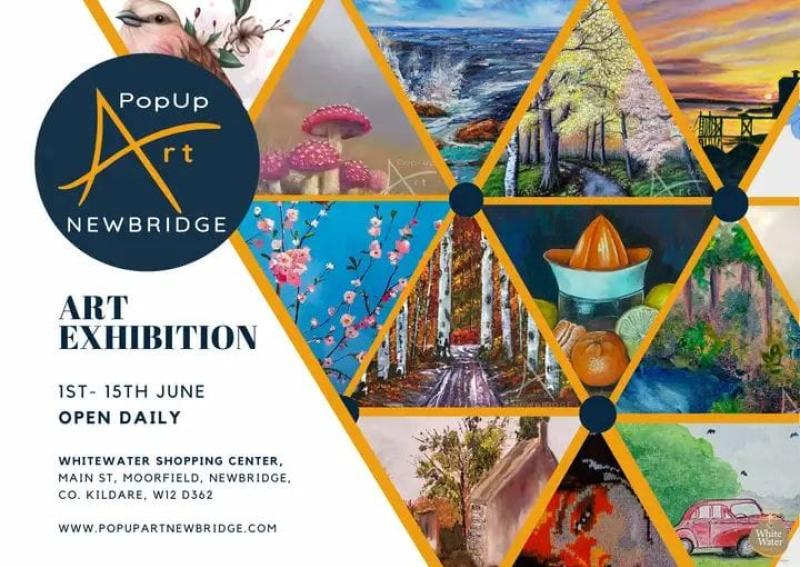 Kildare group PopUpArt Newbridge to launch June Fest 2024 Exhibition