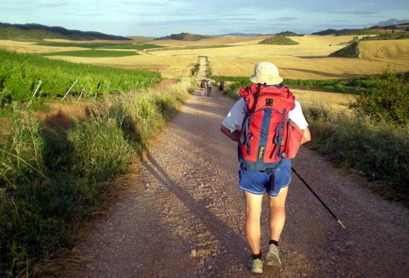 Irish Hospice Foundation calls for Laois walkers to take part in Camino Challenge
