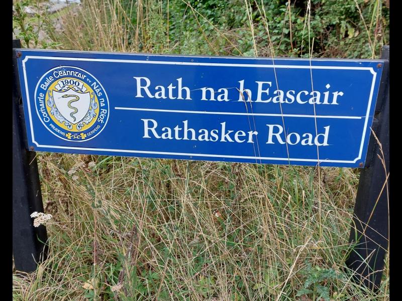 More housing is in the pipeline for Naas